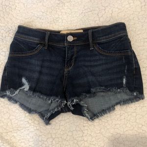 HOLLISTER dark washed Jean Shorts